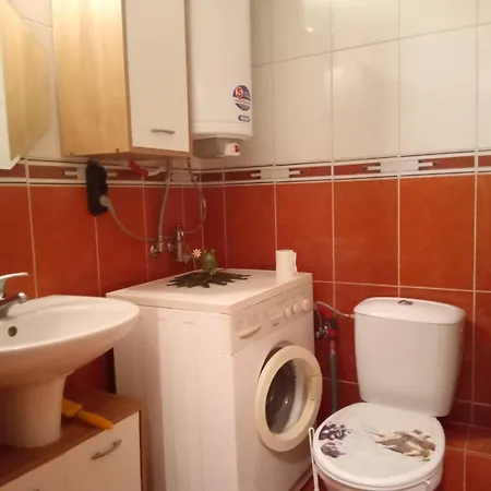 Splendid Sunny Seasons *