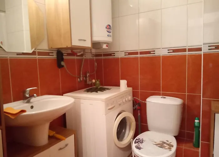 Splendid Sunny Seasons *