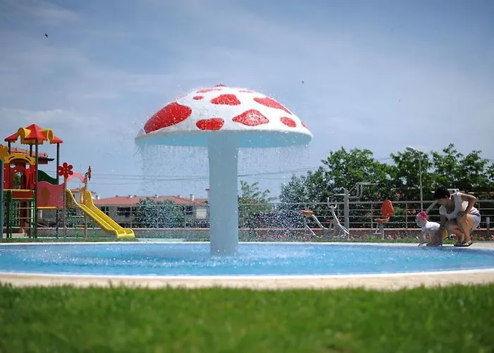 Splendid Sunny Seasons *